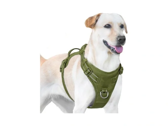 Sunraymascota No Pull Dog Harness Reflective Puppy… Code