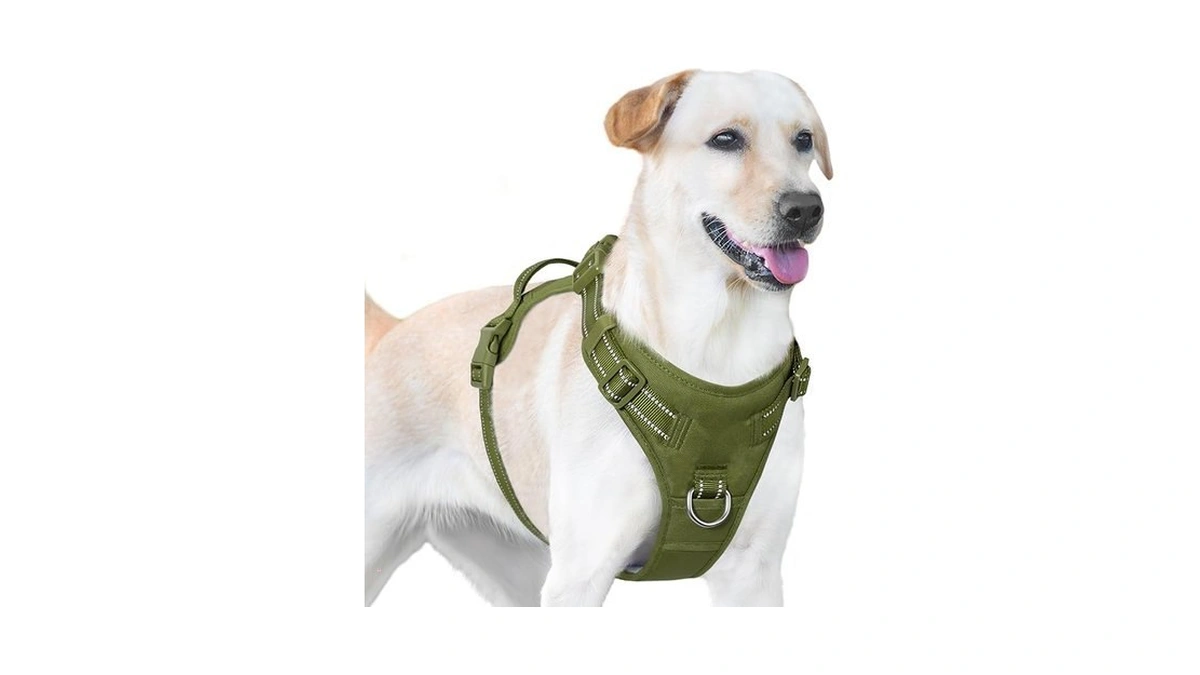 Verified image for post 219154