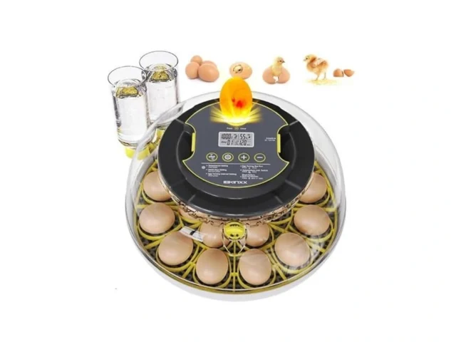 Ibkinxx Incubator For Hatching Eggs-18 Egg Capacity… Code