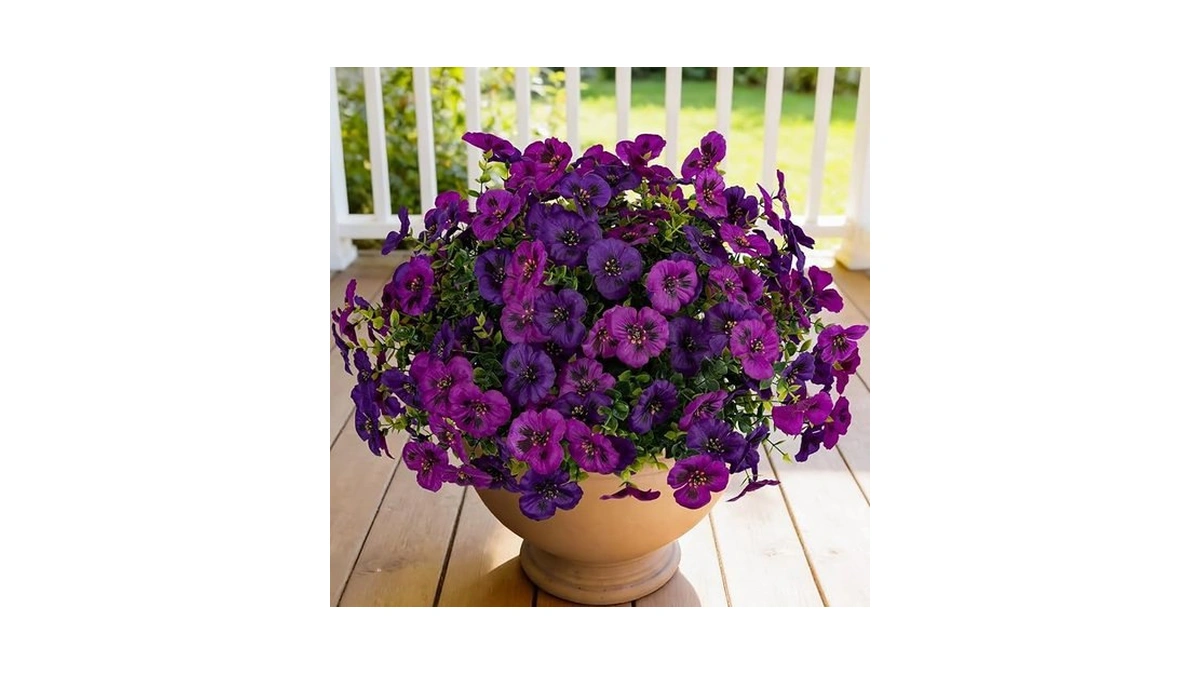 Verified image for post 219952