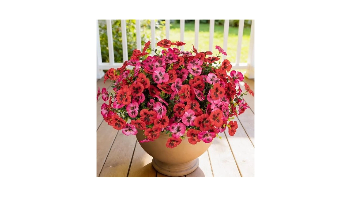 Verified image for post 219956