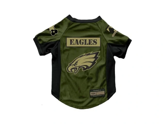 Littlearth Nfl Valor Pet Stretch Jersey… Coupon