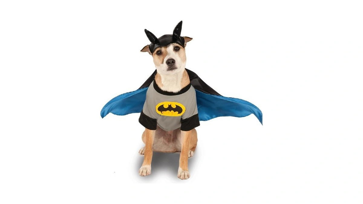 Verified image for post 220048