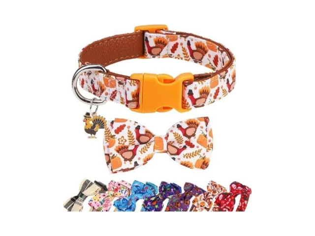Dillybud Fall Dog Collar With Bow Tie – Adjustable… Coupon