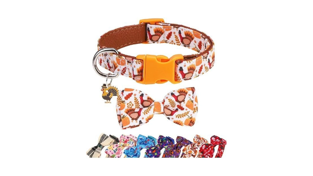 Verified image for post 220132