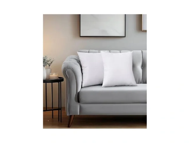 Miulee Set Of 2 Throw Pillow Inserts Premium Pillow…