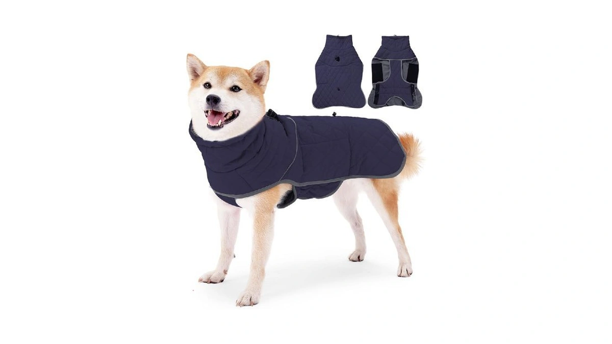 Verified image for post 220522