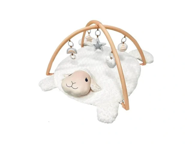 Ladida Baby Play Mat Tummy Time Mat With 5 Toys… Code