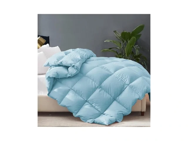 Cosybay King Size Feather Down Fiber Comforter… Code