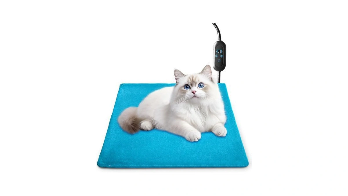 Verified image for post 222138