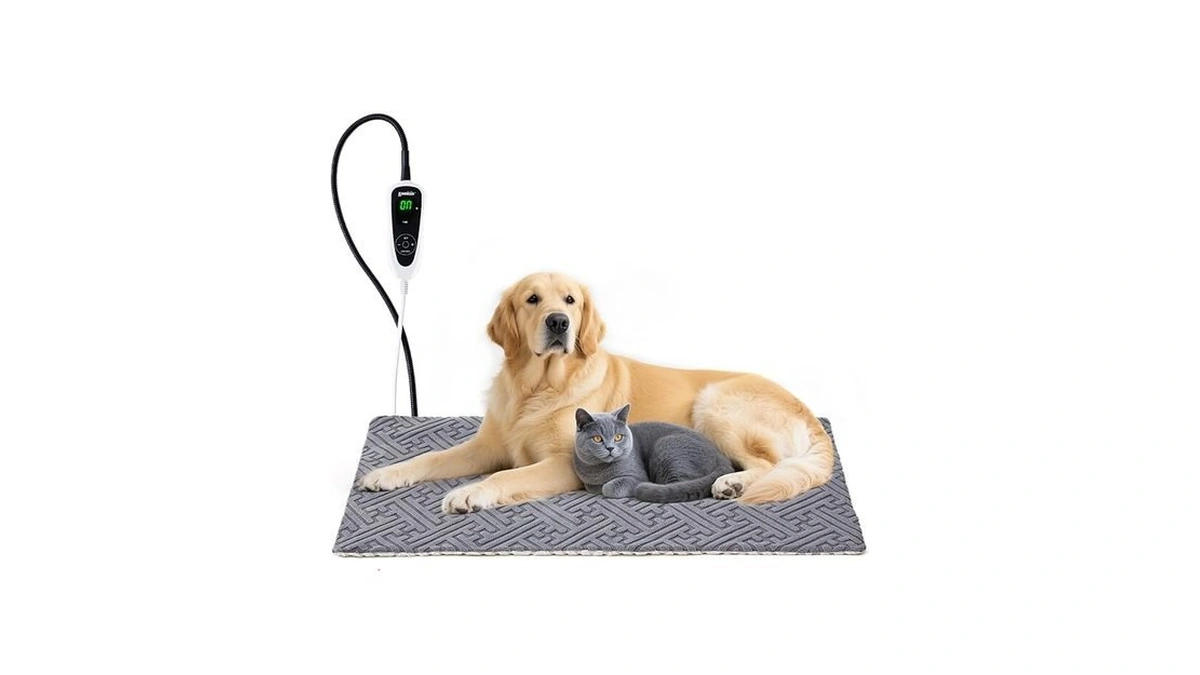 Verified image for post 222156