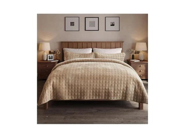 Fleeco 92 X 96 Velvet Quilt Set Queen Size Luxury… Code