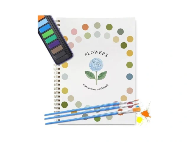 Dancart Watercolor Kit With Outlines Watercolor… Code