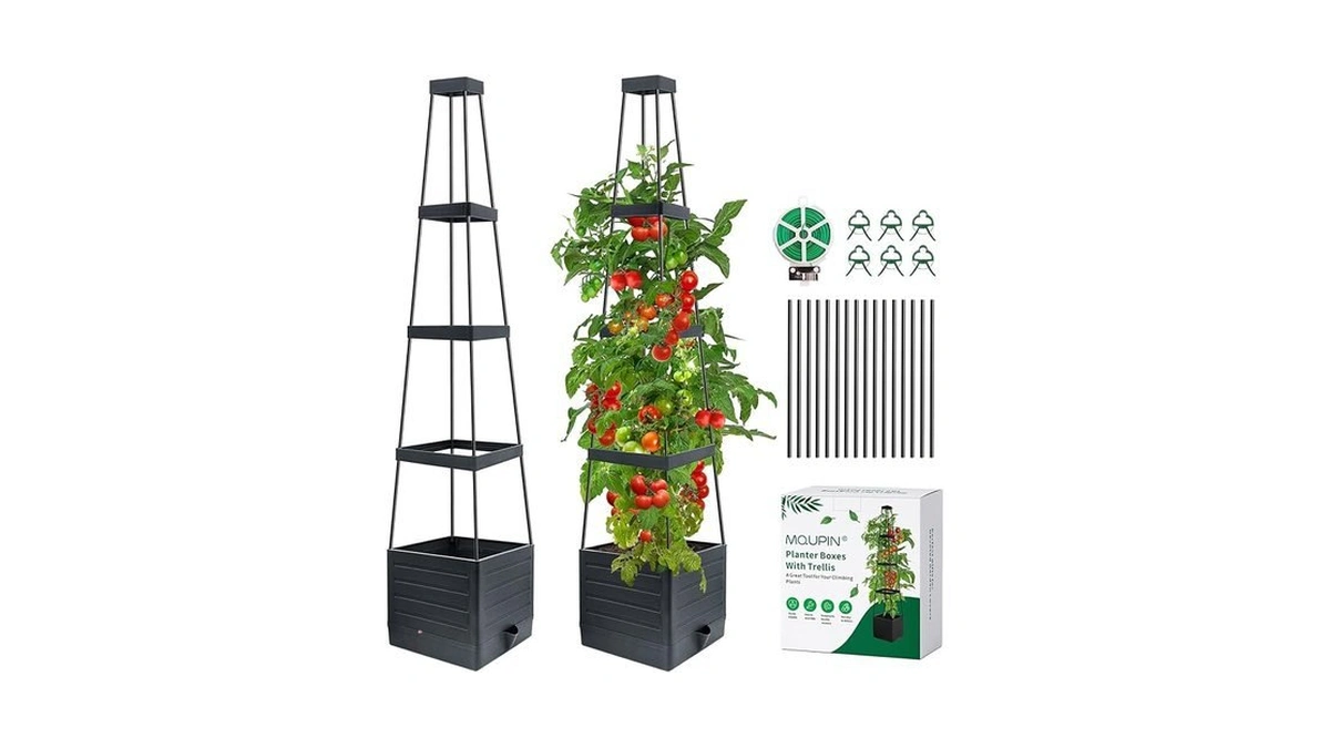 Verified image for post 222372