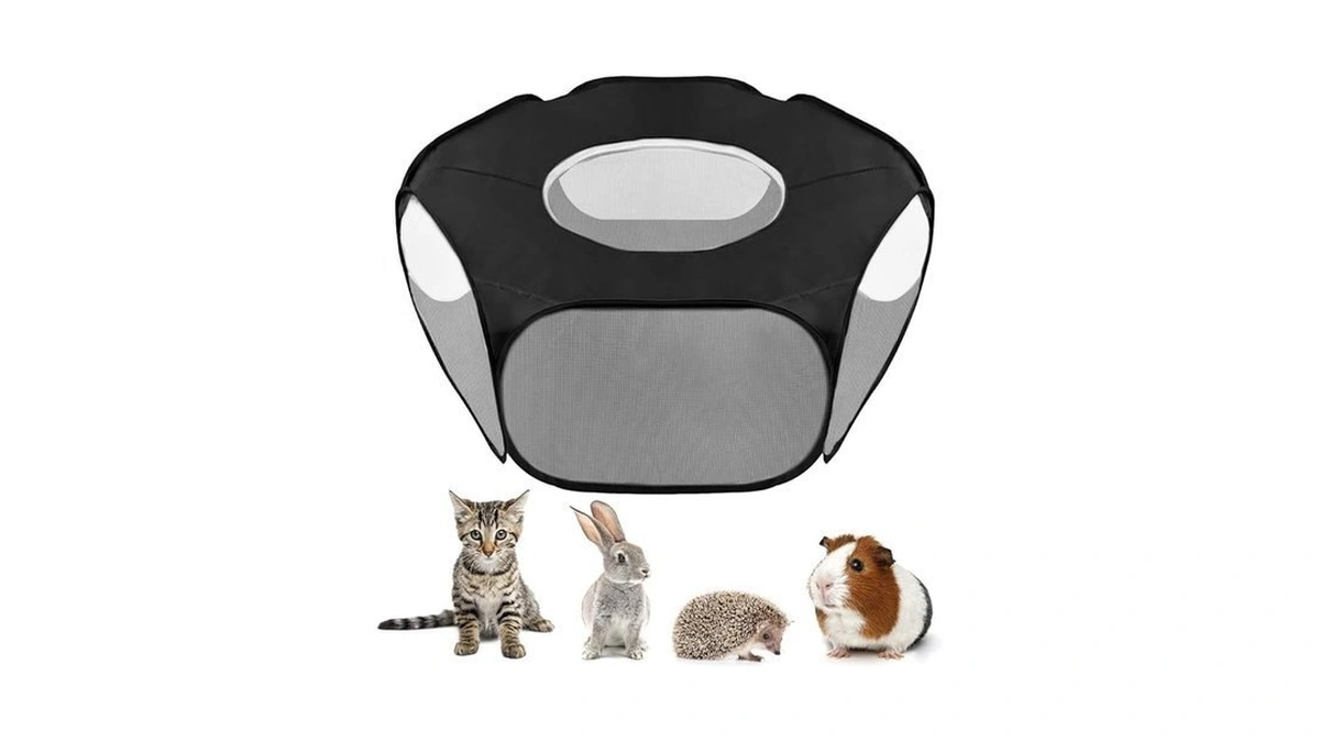 Verified image for post 222602