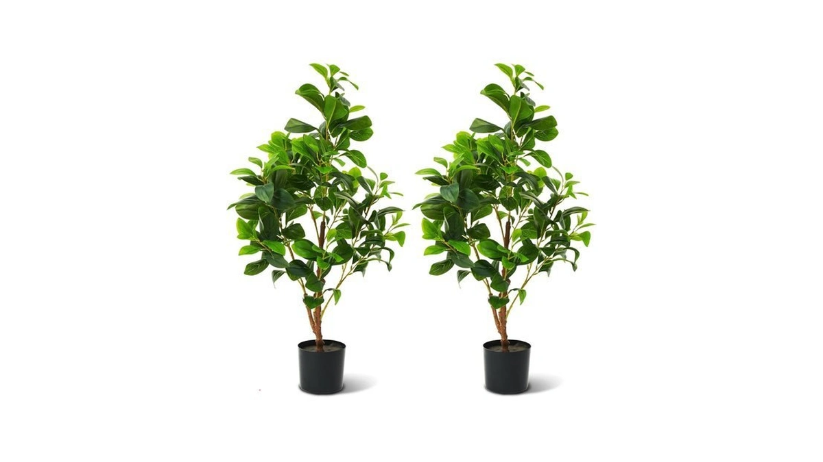 Verified image for post 222628