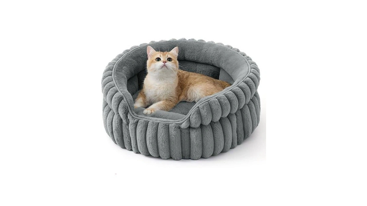 Verified image for post 223132