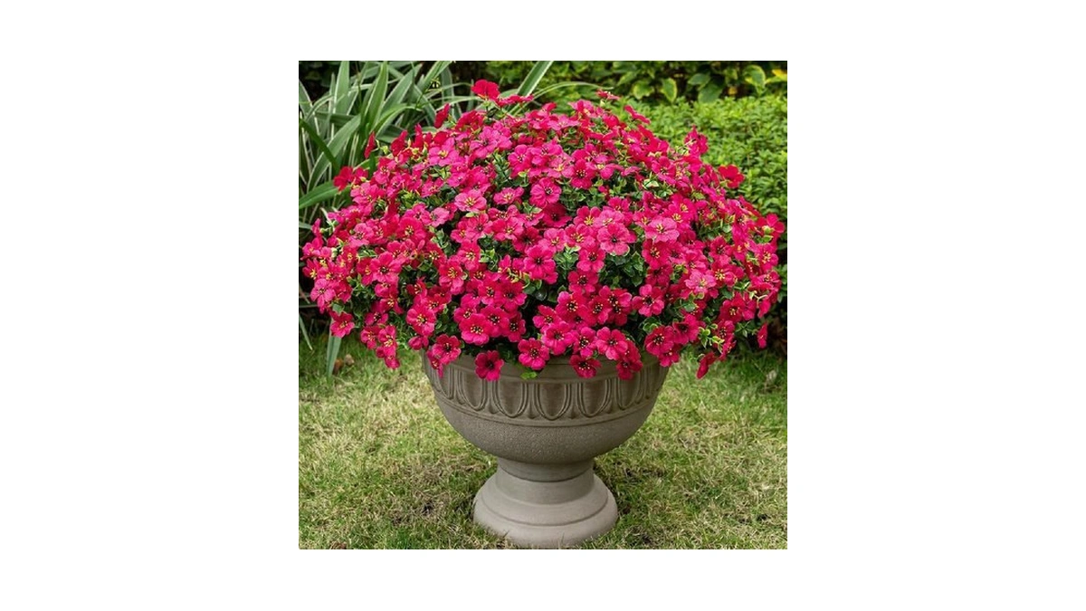 Verified image for post 223242