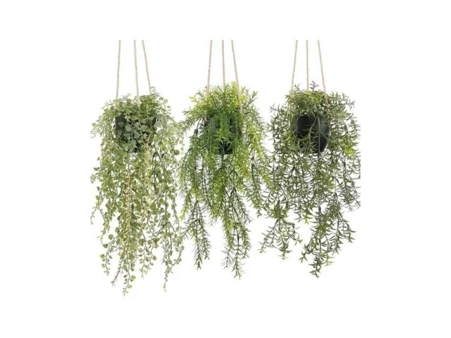 Pengyee 3 Packs Fake Hanging Plants With Black Pots… Code