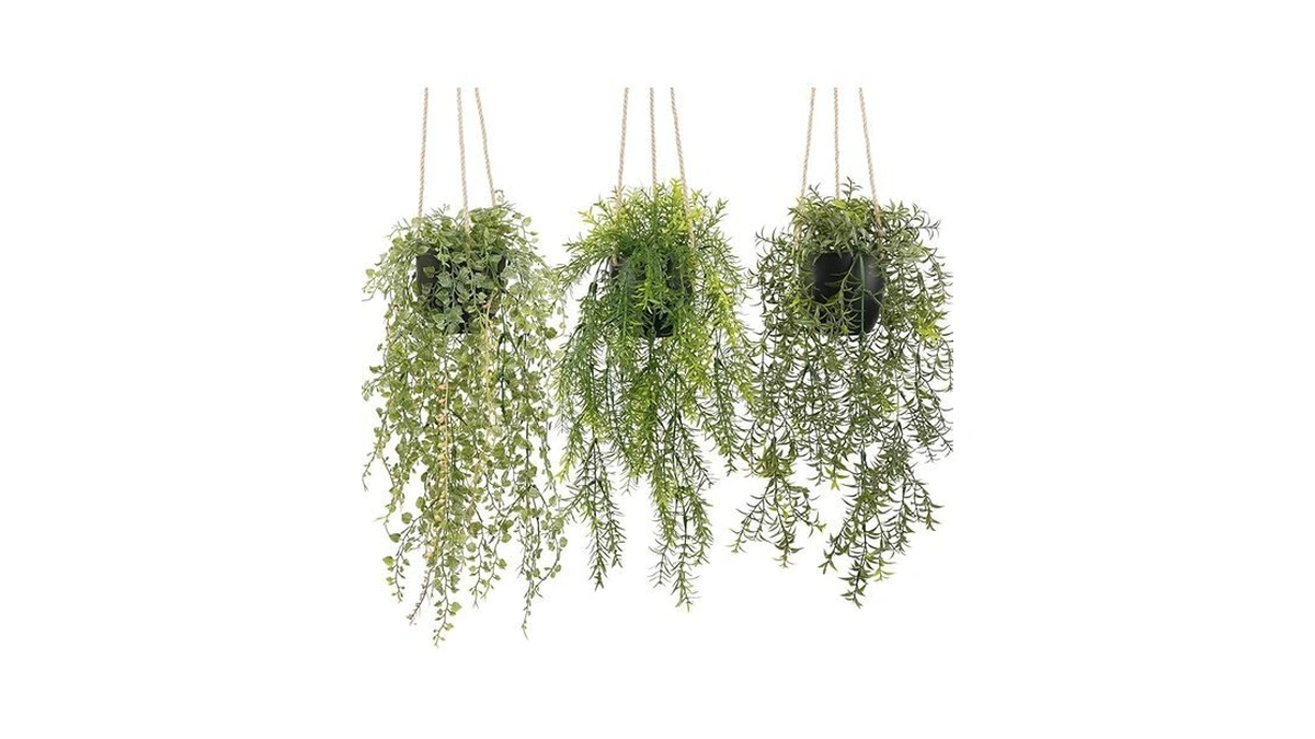 Verified image for post 223306