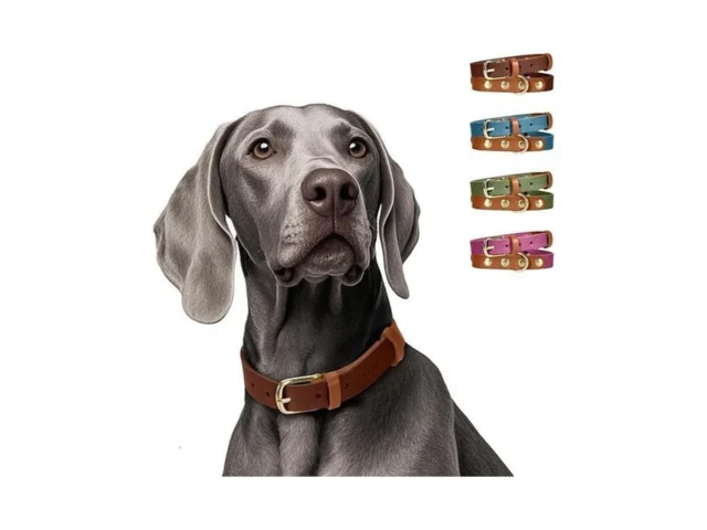 Midog Two-tone Genuine Leather Dog Collar – Soft… Code