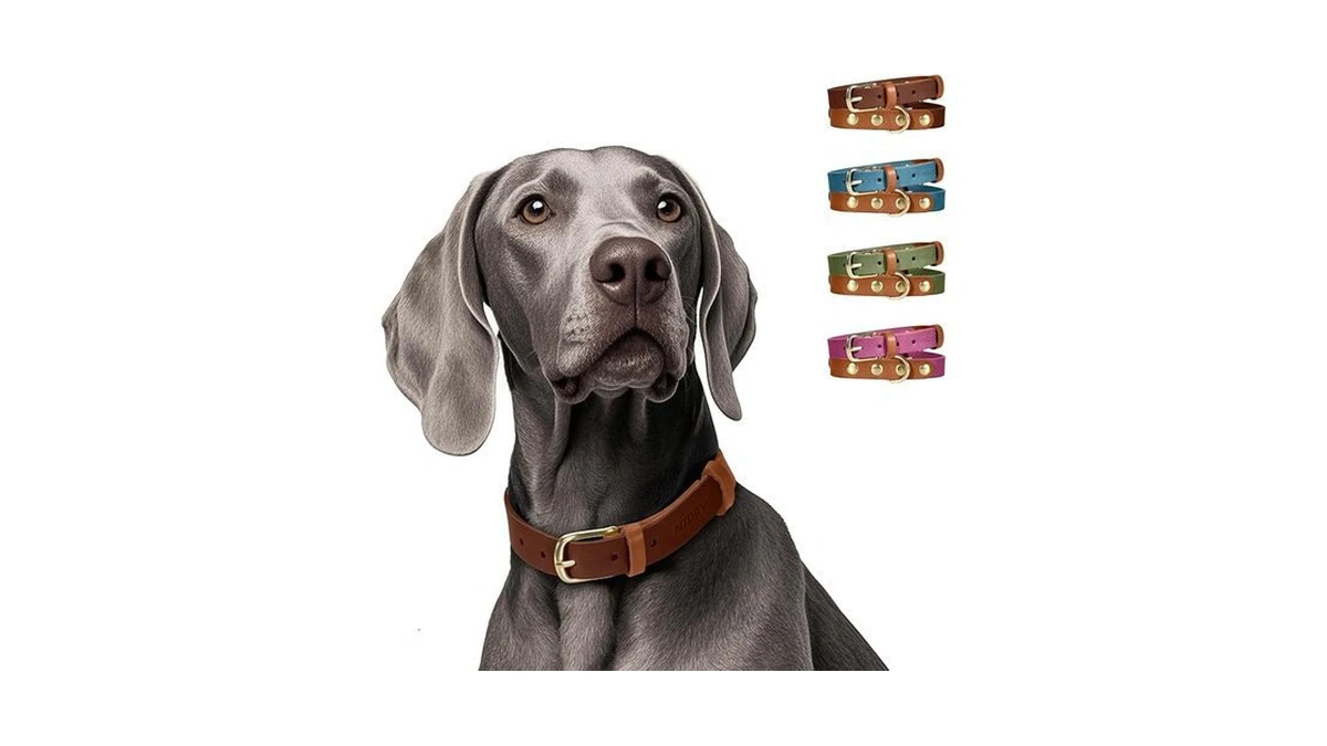 Verified image for post 223386