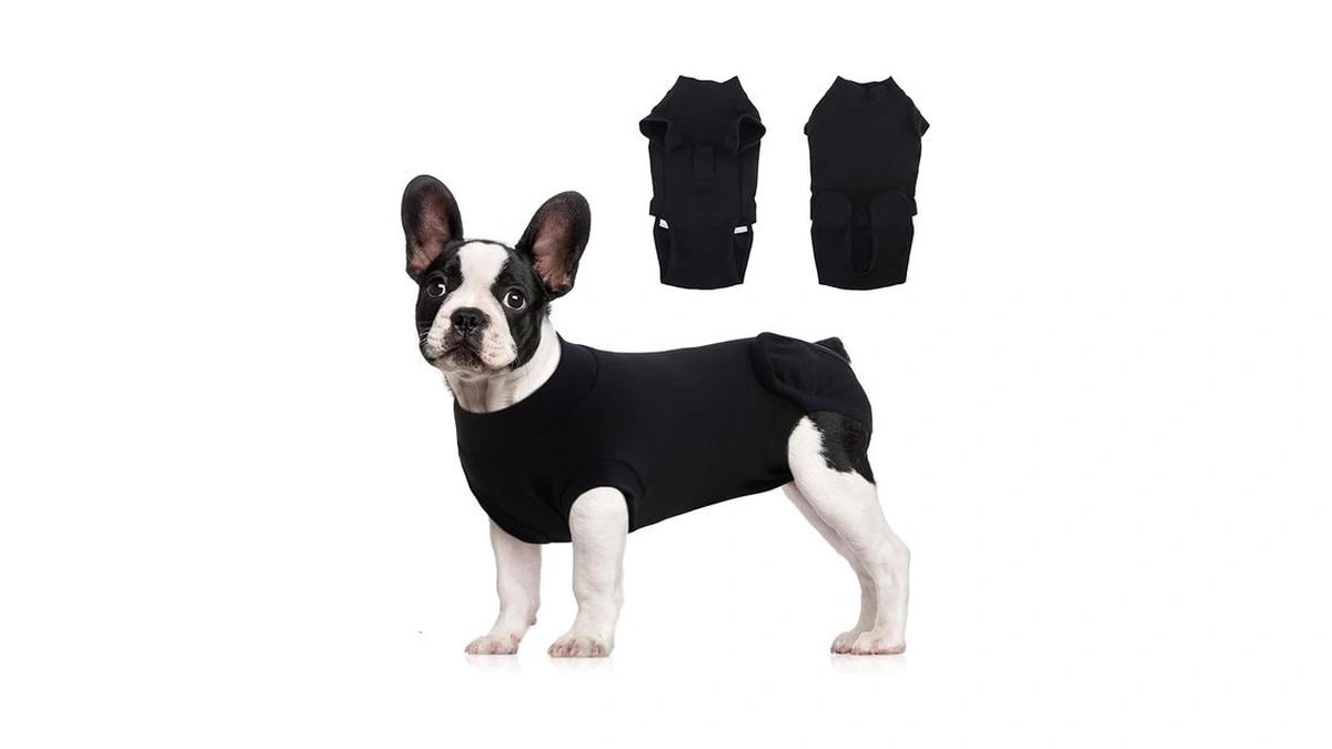 Verified image for post 223462