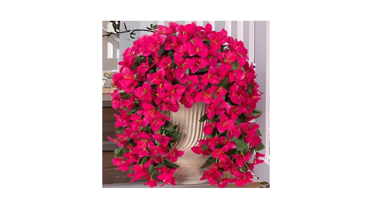 Verified image for post 223552