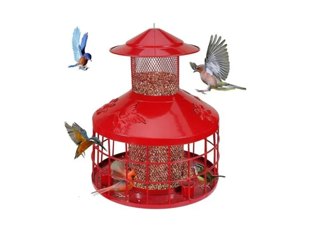 Squirrel Proof Bird Feeder With 3 Water Cups 4 2lb… Code