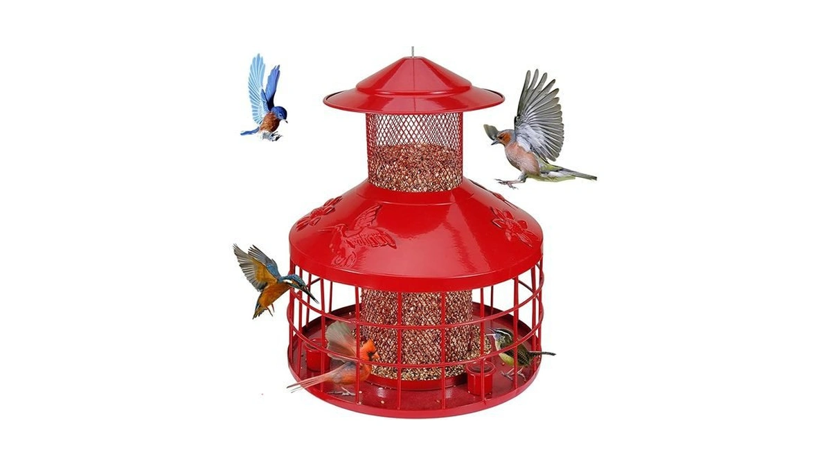 Verified image for post 224280