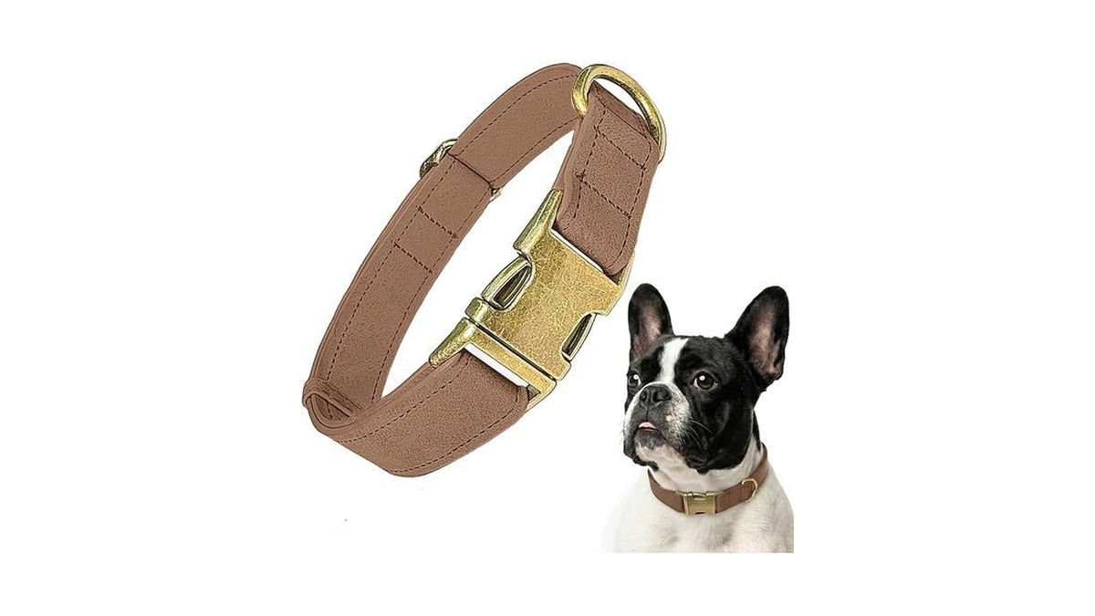 Verified image for post 224318