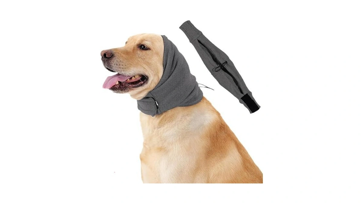 Verified image for post 224334