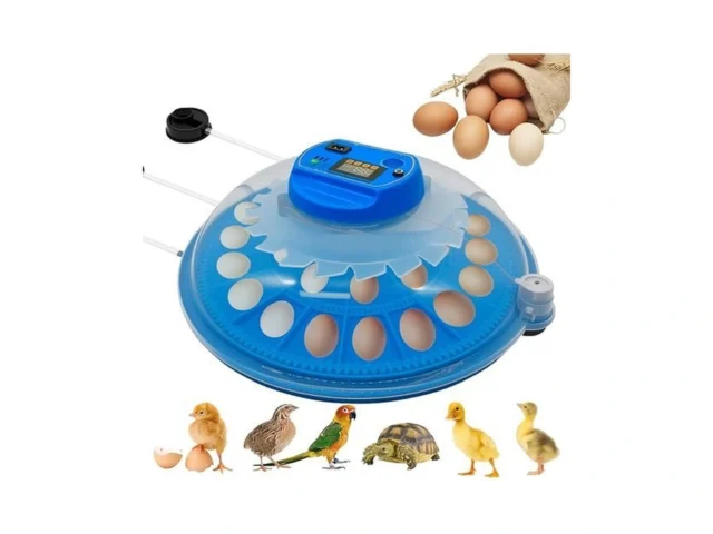 26-egg Incubator With Automatic Egg Turning And… Code