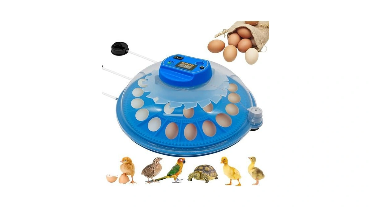 Verified image for post 224460