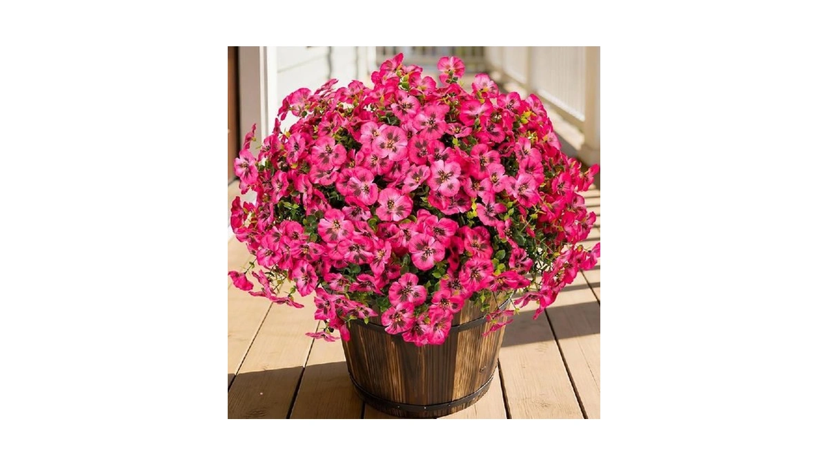 Verified image for post 224804