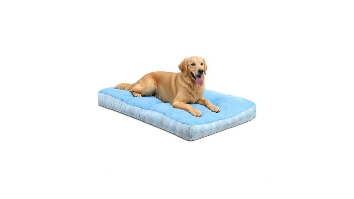 Verified image for post 225436