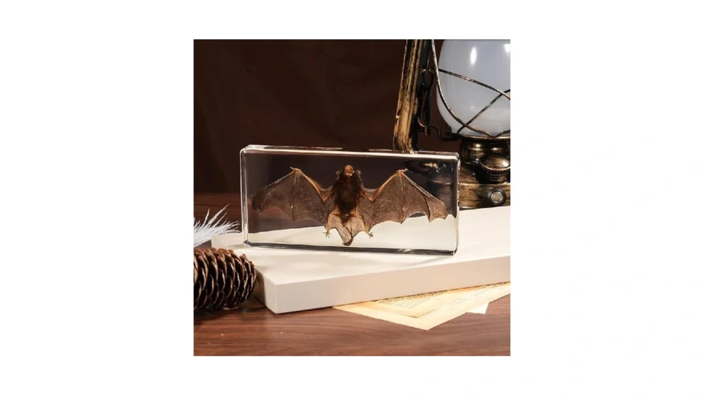 Verified image for post 225450