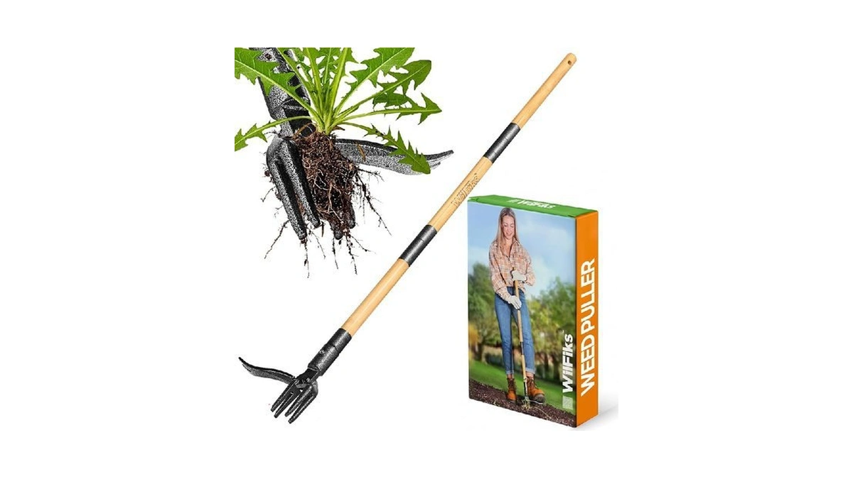 Verified image for post 225690