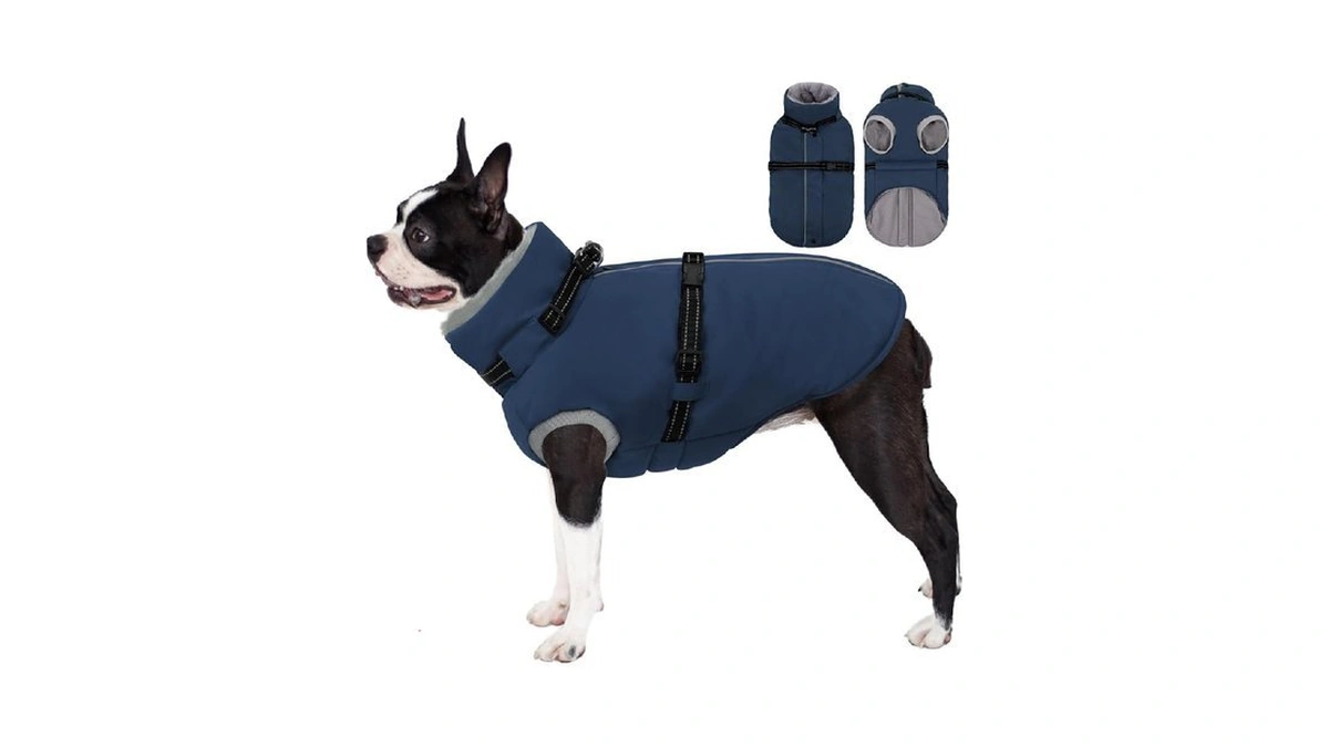 Verified image for post 227850