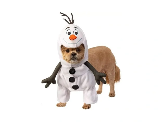 Disney Frozen Olaf Pet Costume For For Dogs Or Cats…