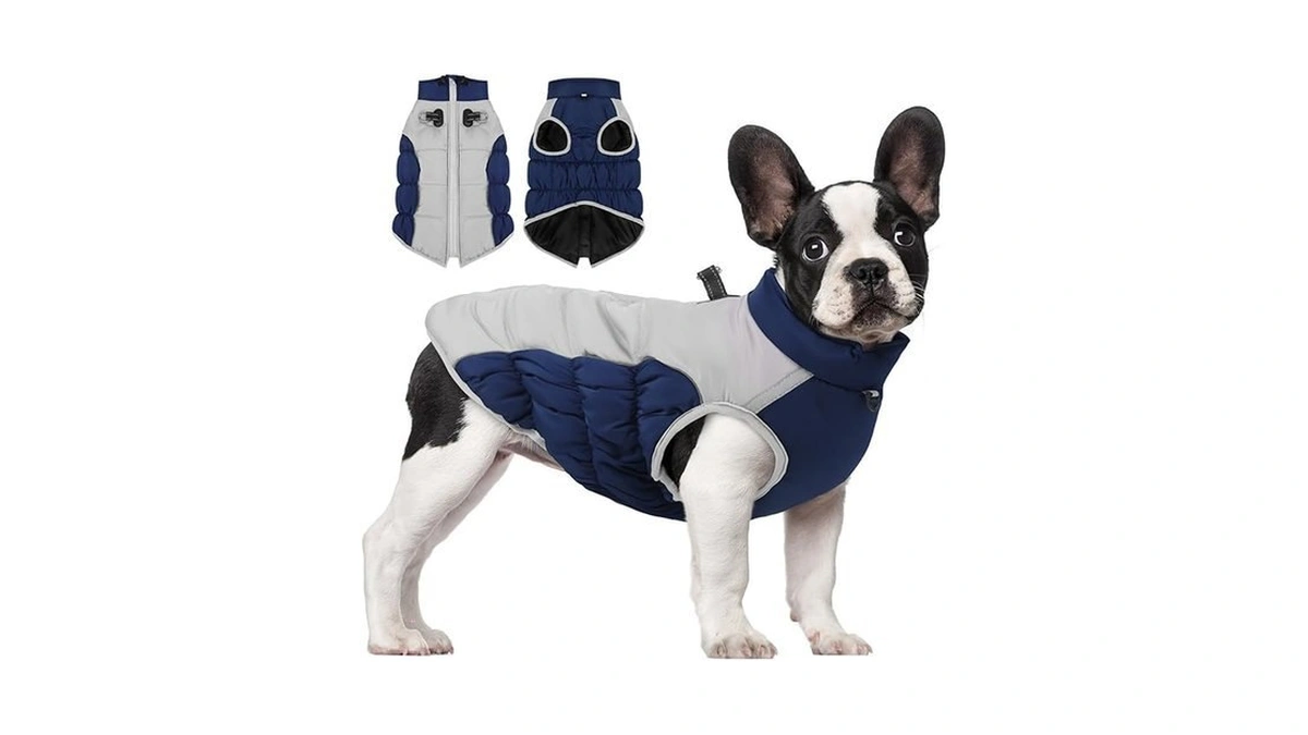 Verified image for post 228384