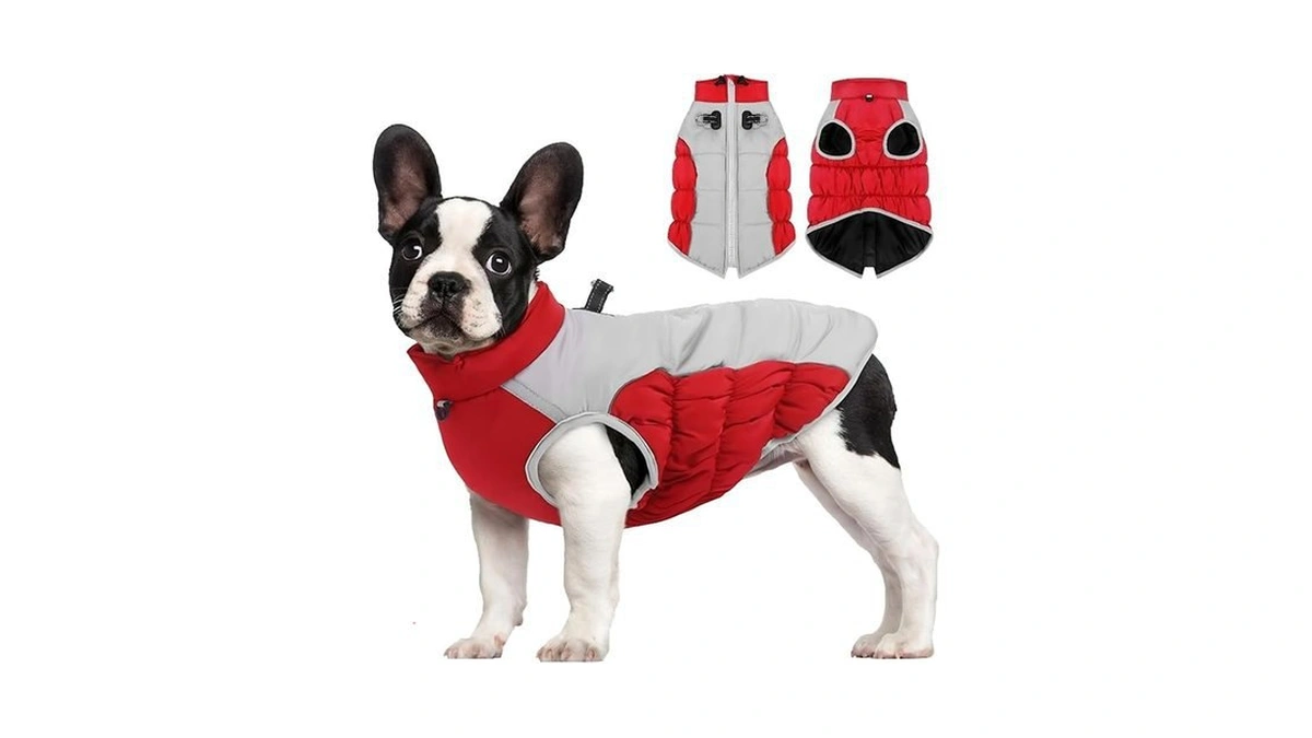 Verified image for post 228520