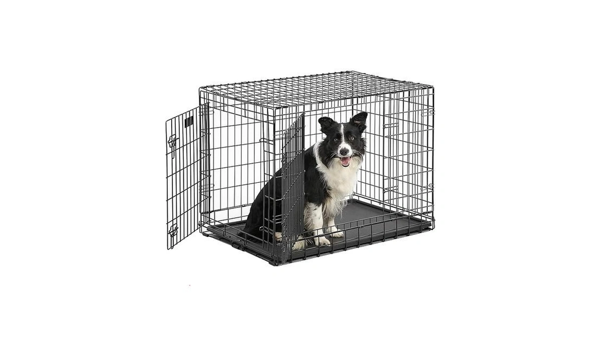 Verified image for post 228646