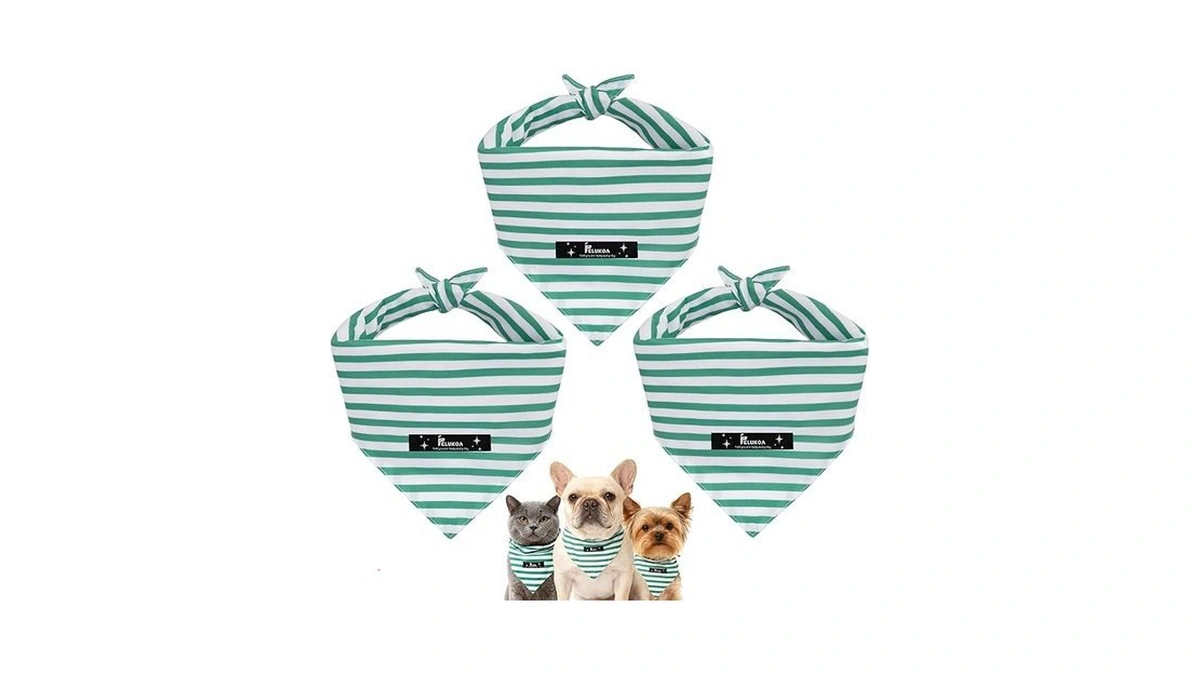 Verified image for post 228684