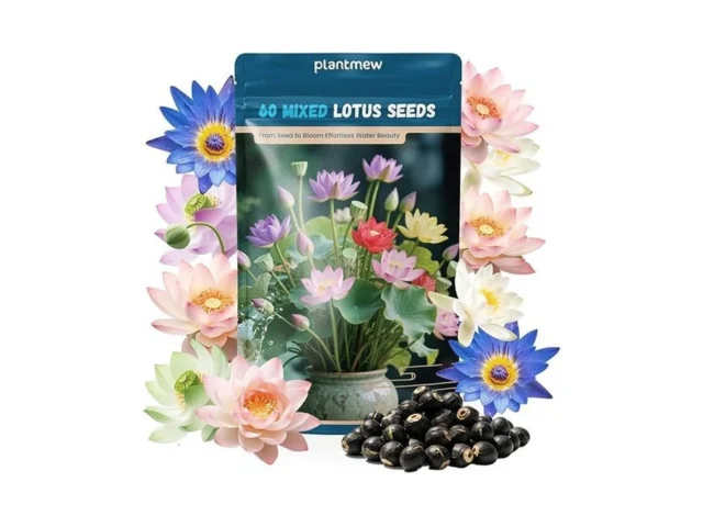 Lotus Seeds For Planting In Water 60 Pcs Mixed… Coupon