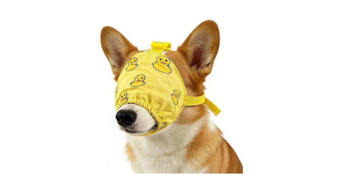 Verified image for post 228920