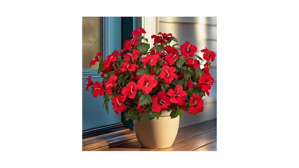 Verified image for post 228938