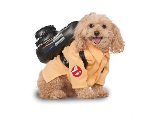 Ghostbusters Ghostbusters Pet Costume For For Dogs… Coupon
