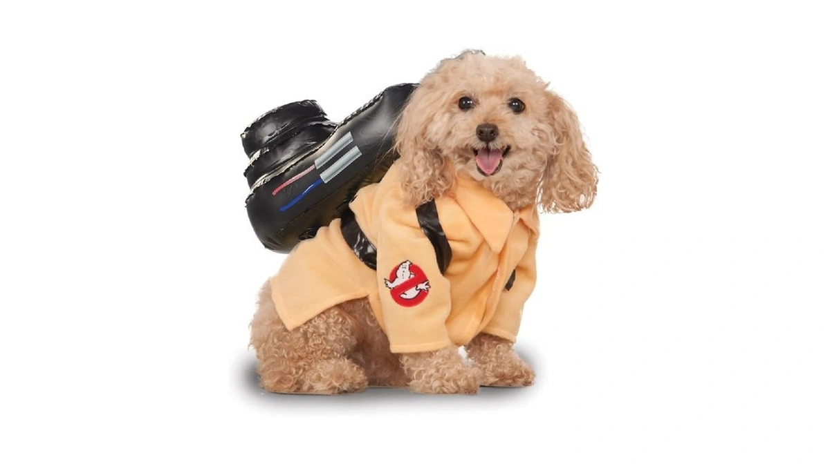 Verified image for post 229466