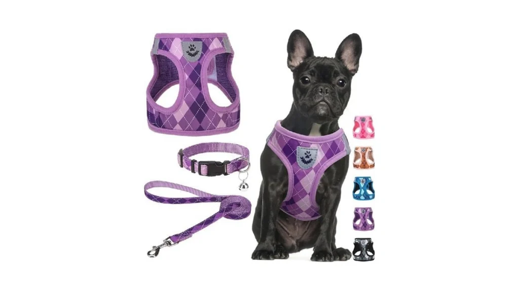 Verified image for post 229636